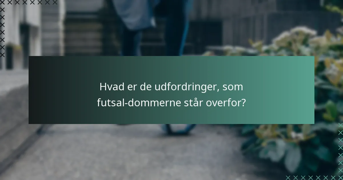 Hvad er niveauerne i dommerhierarkiet i futsal?