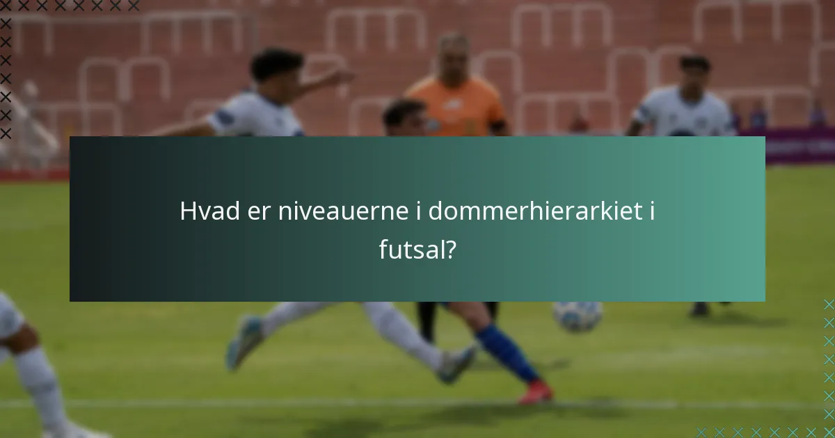 Hvordan holdes dommerne ansvarlige i futsal?