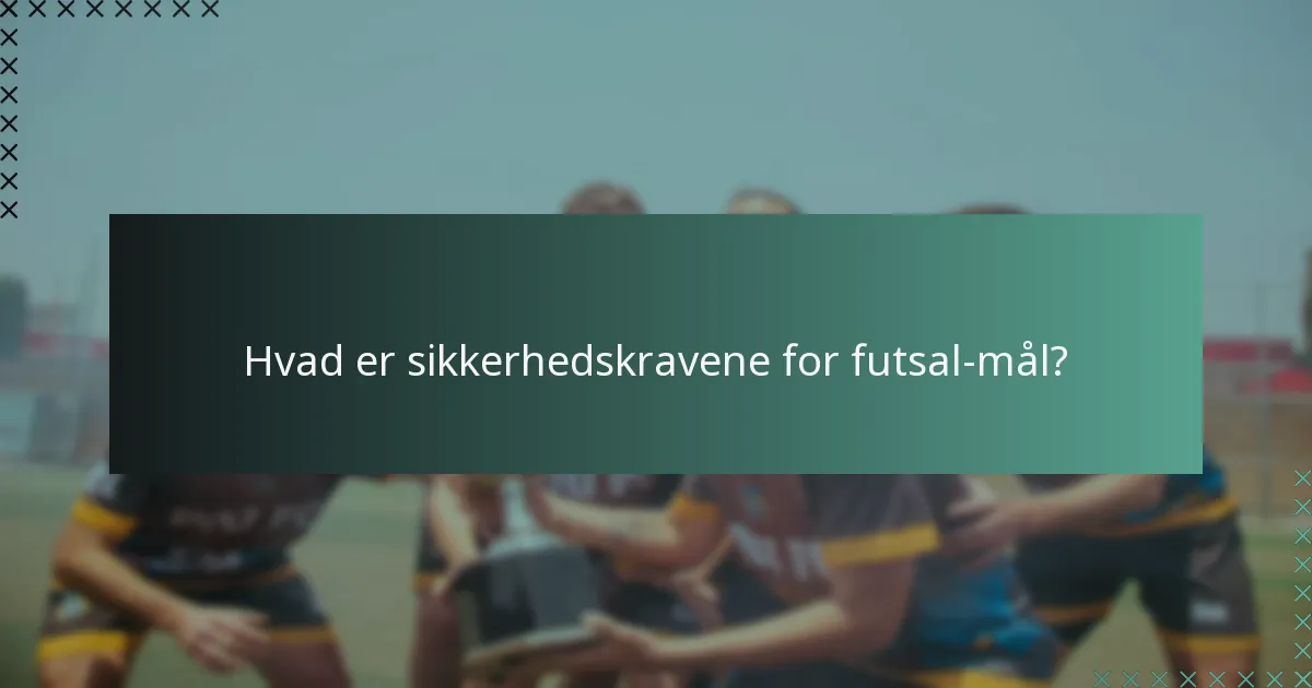 Hvilke organisationer fastsætter standarderne for futsal-mål specifikationer?