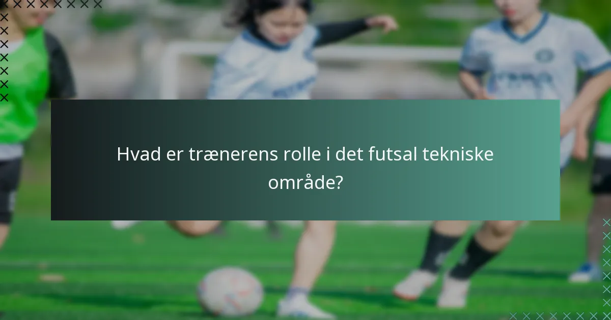 Hvad er retningslinjerne for dommerne i det futsal tekniske område?